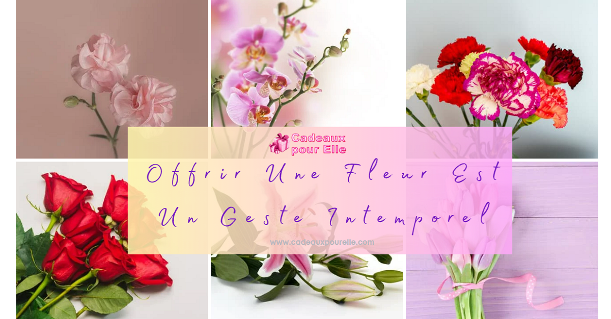 Offrir Une Fleur Est Un Geste Intemporel